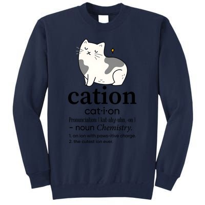 Cation Funny Pronoun Chemistry Cat Lover Pet Lover Tall Sweatshirt