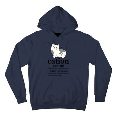 Cation Funny Pronoun Chemistry Cat Lover Pet Lover Tall Hoodie