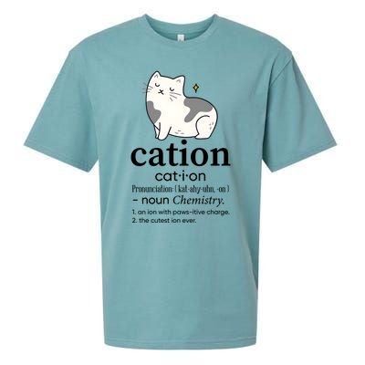 Cation Funny Pronoun Chemistry Cat Lover Pet Lover Sueded Cloud Jersey T-Shirt