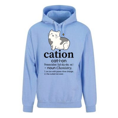 Cation Funny Pronoun Chemistry Cat Lover Pet Lover Unisex Surf Hoodie