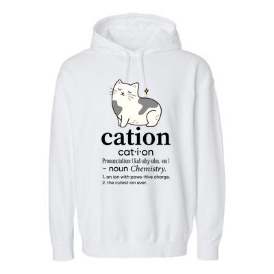 Cation Funny Pronoun Chemistry Cat Lover Pet Lover Garment-Dyed Fleece Hoodie