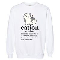 Cation Funny Pronoun Chemistry Cat Lover Pet Lover Garment-Dyed Sweatshirt