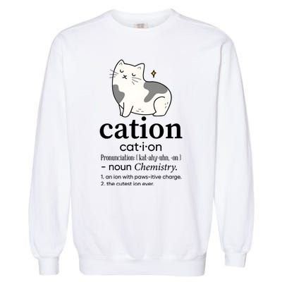 Cation Funny Pronoun Chemistry Cat Lover Pet Lover Garment-Dyed Sweatshirt