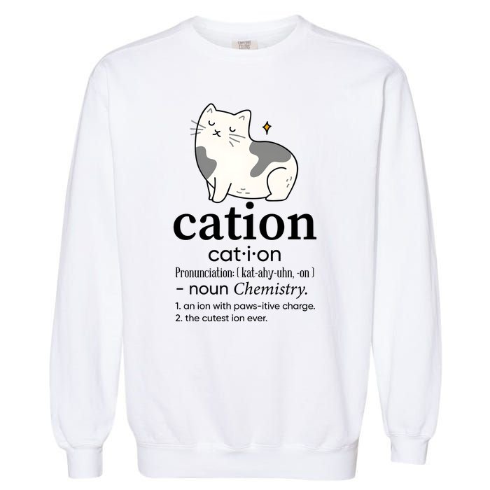 Cation Funny Pronoun Chemistry Cat Lover Pet Lover Garment-Dyed Sweatshirt