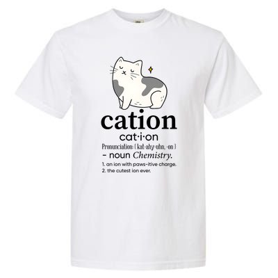 Cation Funny Pronoun Chemistry Cat Lover Pet Lover Garment-Dyed Heavyweight T-Shirt