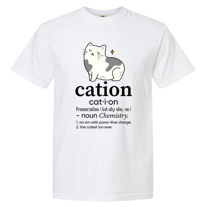 Cation Funny Pronoun Chemistry Cat Lover Pet Lover Garment-Dyed Heavyweight T-Shirt