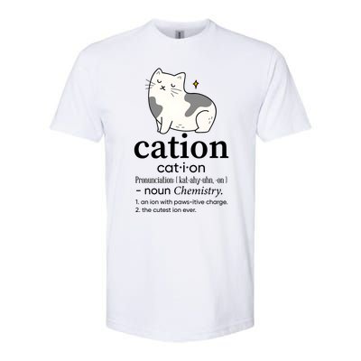 Cation Funny Pronoun Chemistry Cat Lover Pet Lover Softstyle CVC T-Shirt