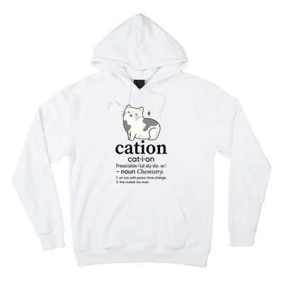 Cation Funny Pronoun Chemistry Cat Lover Pet Lover Hoodie