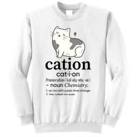 Cation Funny Pronoun Chemistry Cat Lover Pet Lover Sweatshirt