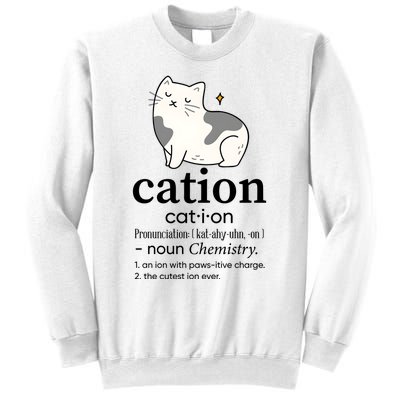 Cation Funny Pronoun Chemistry Cat Lover Pet Lover Sweatshirt