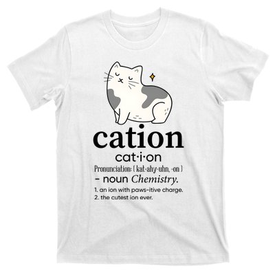 Cation Funny Pronoun Chemistry Cat Lover Pet Lover T-Shirt