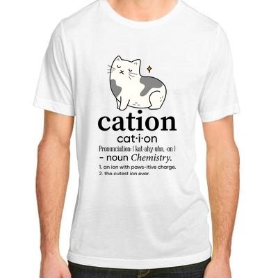 Cation Funny Pronoun Chemistry Cat Lover Pet Lover Adult ChromaSoft Performance T-Shirt