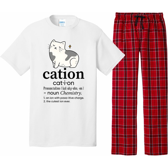 Cation Funny Pronoun Chemistry Cat Lover Pet Lover Pajama Set