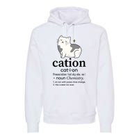 Cation Funny Pronoun Chemistry Cat Lover Pet Lover Premium Hoodie