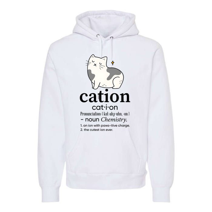 Cation Funny Pronoun Chemistry Cat Lover Pet Lover Premium Hoodie