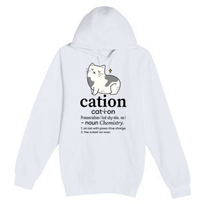 Cation Funny Pronoun Chemistry Cat Lover Pet Lover Premium Pullover Hoodie