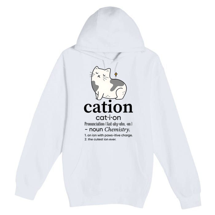 Cation Funny Pronoun Chemistry Cat Lover Pet Lover Premium Pullover Hoodie