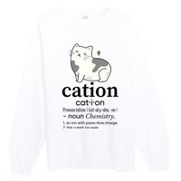 Cation Funny Pronoun Chemistry Cat Lover Pet Lover Premium Crewneck Sweatshirt