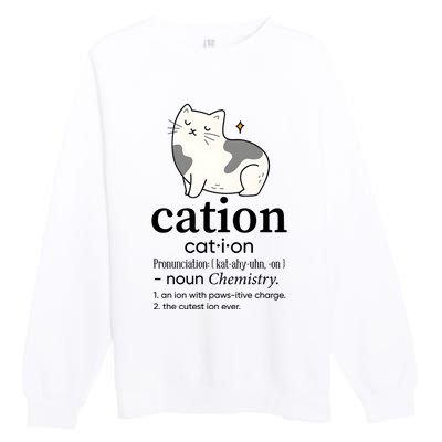 Cation Funny Pronoun Chemistry Cat Lover Pet Lover Premium Crewneck Sweatshirt