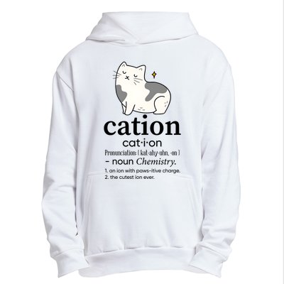 Cation Funny Pronoun Chemistry Cat Lover Pet Lover Urban Pullover Hoodie