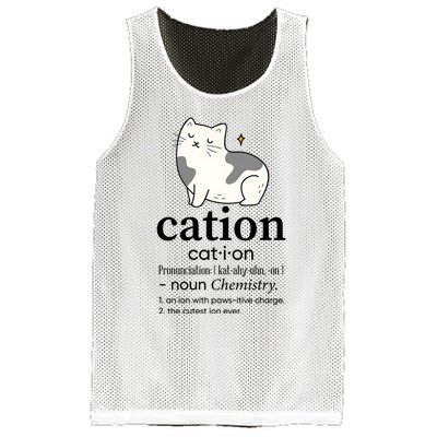 Cation Funny Pronoun Chemistry Cat Lover Pet Lover Mesh Reversible Basketball Jersey Tank