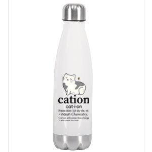 Cation Funny Pronoun Chemistry Cat Lover Pet Lover Stainless Steel Insulated Water Bottle