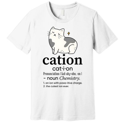 Cation Funny Pronoun Chemistry Cat Lover Pet Lover Premium T-Shirt