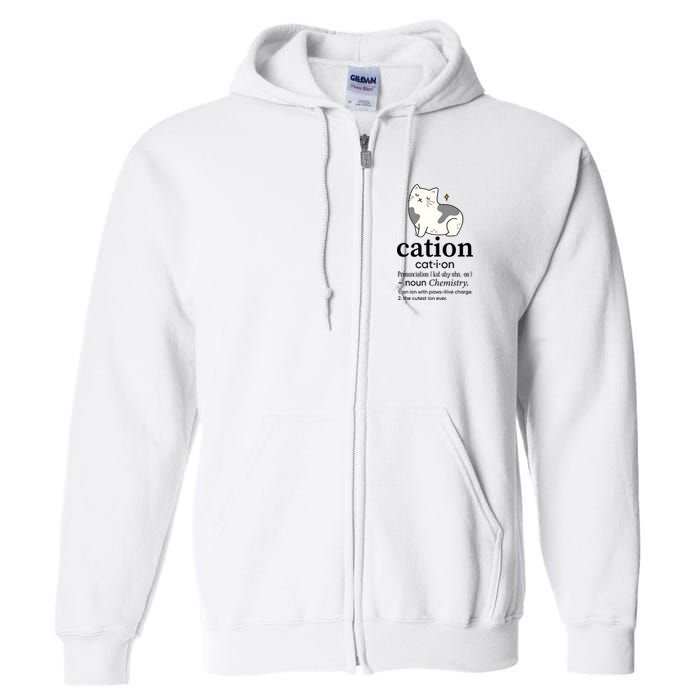 Cation Funny Pronoun Chemistry Cat Lover Pet Lover Full Zip Hoodie