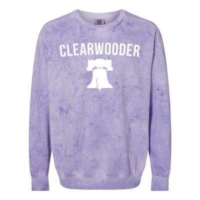 Clearwooder Florida Philadelphia Baseball Spring Training Gift Colorblast Crewneck Sweatshirt