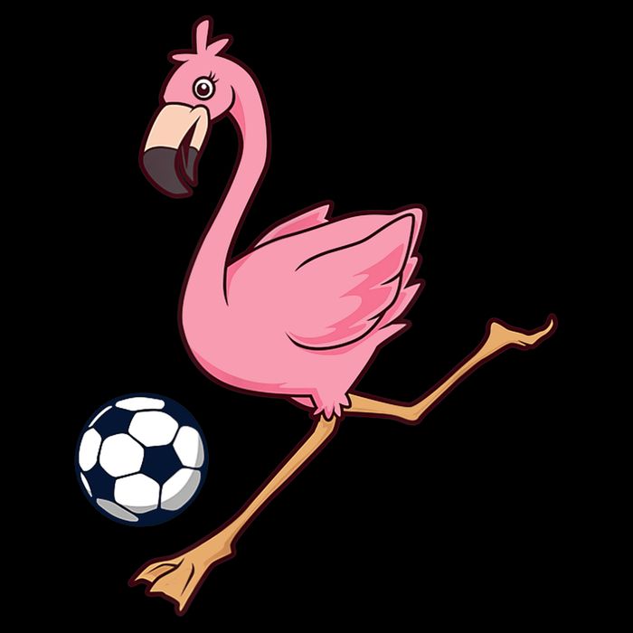 Cartoon Flamingo Playing Soccer Cropped Pullover Crew