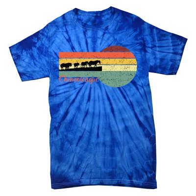 Chincoteague Feral Ponies Tie-Dye T-Shirt