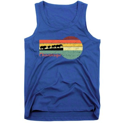 Chincoteague Feral Ponies Tank Top