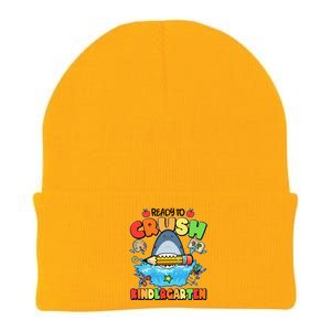 Cute Funny Ready To Crush Kindergarten School Shark Knit Cap Winter Beanie