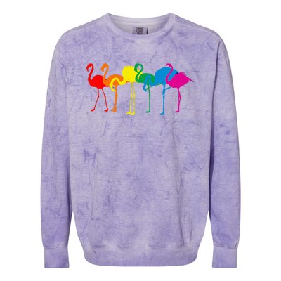 Cute Flamingo Rainbow Flamingo Colorblast Crewneck Sweatshirt