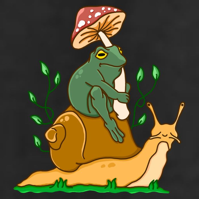Cute Frog Riding A Snail A Whimsical Illustration Premium Pullover Hoodie