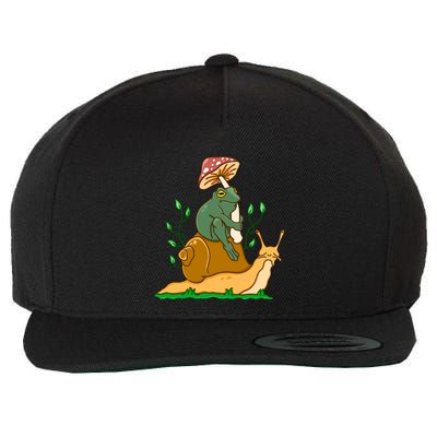 Cute Frog Riding A Snail A Whimsical Illustration Wool Snapback Cap