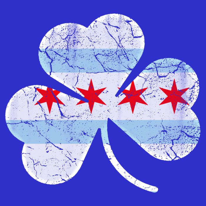 Chicago Flag Shamrock Irish St Patricks Day Family Funny Gift 16 in Basic Backpack