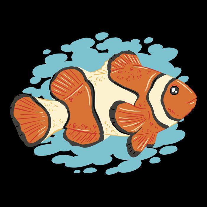 Clown Fish Sea Doggie Tank