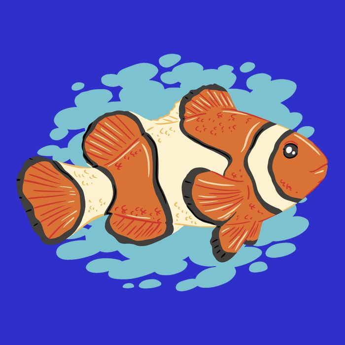 Clown Fish Sea Long Sleeve Shirt