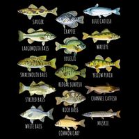 Cool Fish Species Biology Types Of Freshwater Fish Fishing Gift Tall T-Shirt