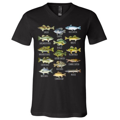 Cool Fish Species Biology Types Of Freshwater Fish Fishing Gift V-Neck T-Shirt