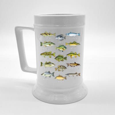 Cool Fish Species Biology Types Of Freshwater Fish Fishing Gift Beer Stein