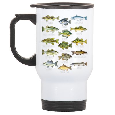 Cool Fish Species Biology Types Of Freshwater Fish Fishing Gift Stainless Steel Travel Mug