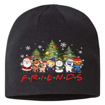 Christmas Friends Santa Rudolph Snowman Family Xmas Adults  Sustainable Beanie