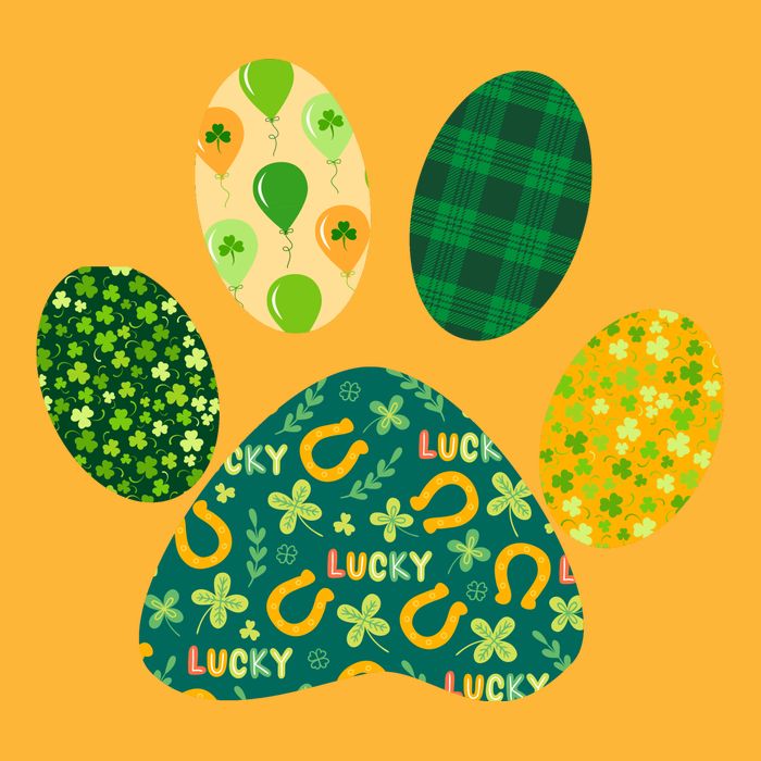 Cute Funny St Patrick's Day Patterns Pet Animal Paw T-Shirt