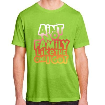 Cute Family Saying AinT No Family Like The One I Got Adult ChromaSoft Performance T-Shirt