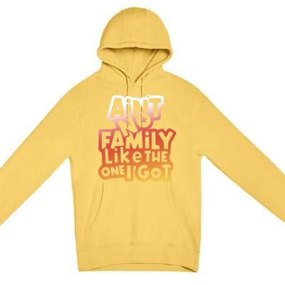 Cute Family Saying AinT No Family Like The One I Got Premium Pullover Hoodie