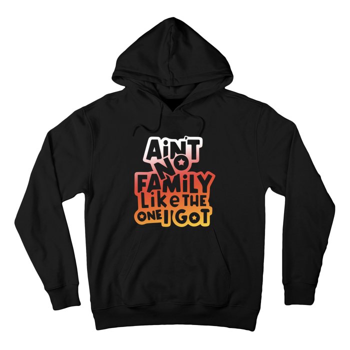 Cute Family Saying AinT No Family Like The One I Got Hoodie