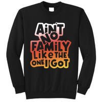 Cute Family Saying AinT No Family Like The One I Got Sweatshirt