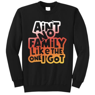 Cute Family Saying AinT No Family Like The One I Got Sweatshirt